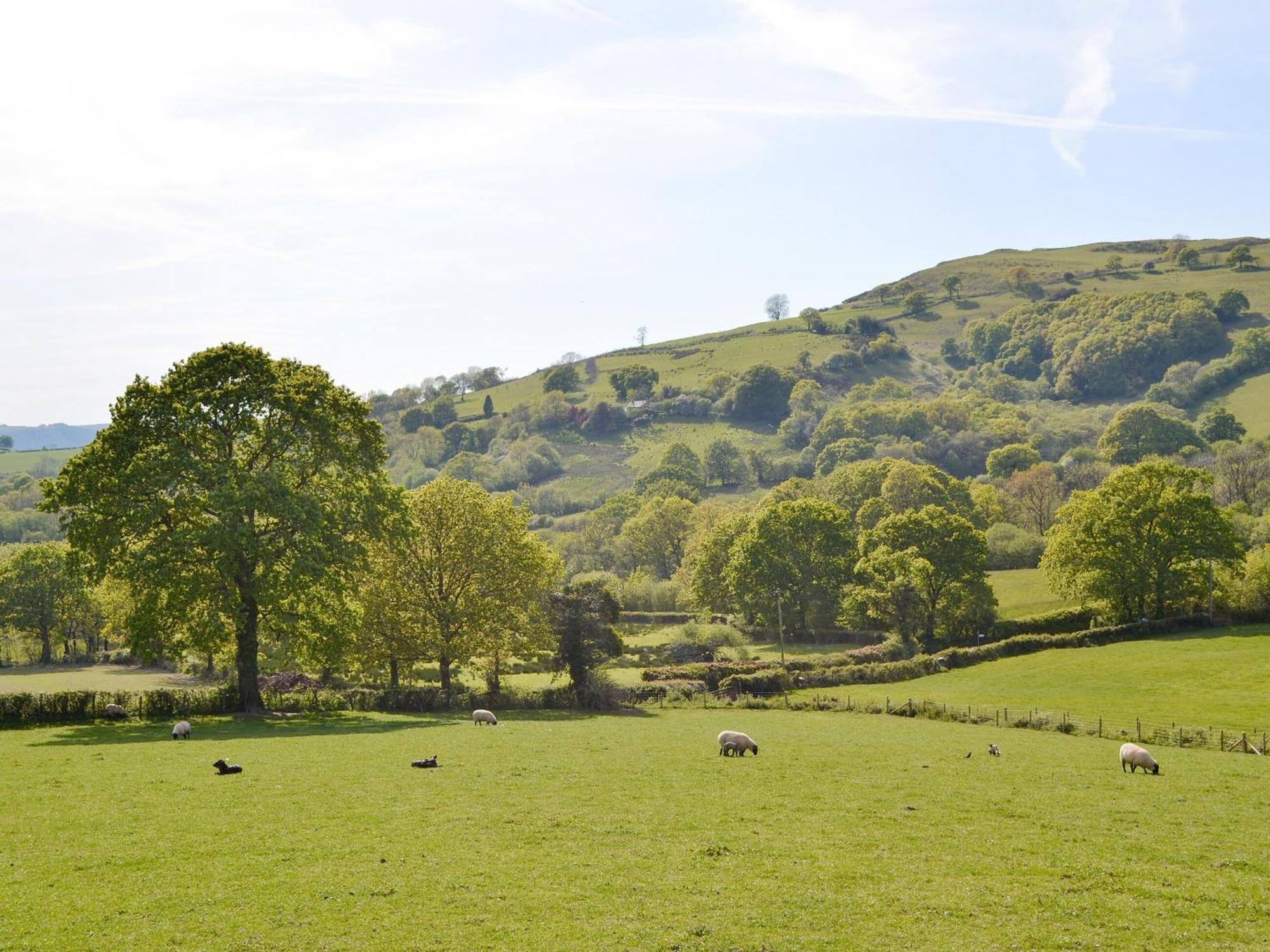 Maes Y Bryn Farmhouse Llanwrda Екстер'єр фото